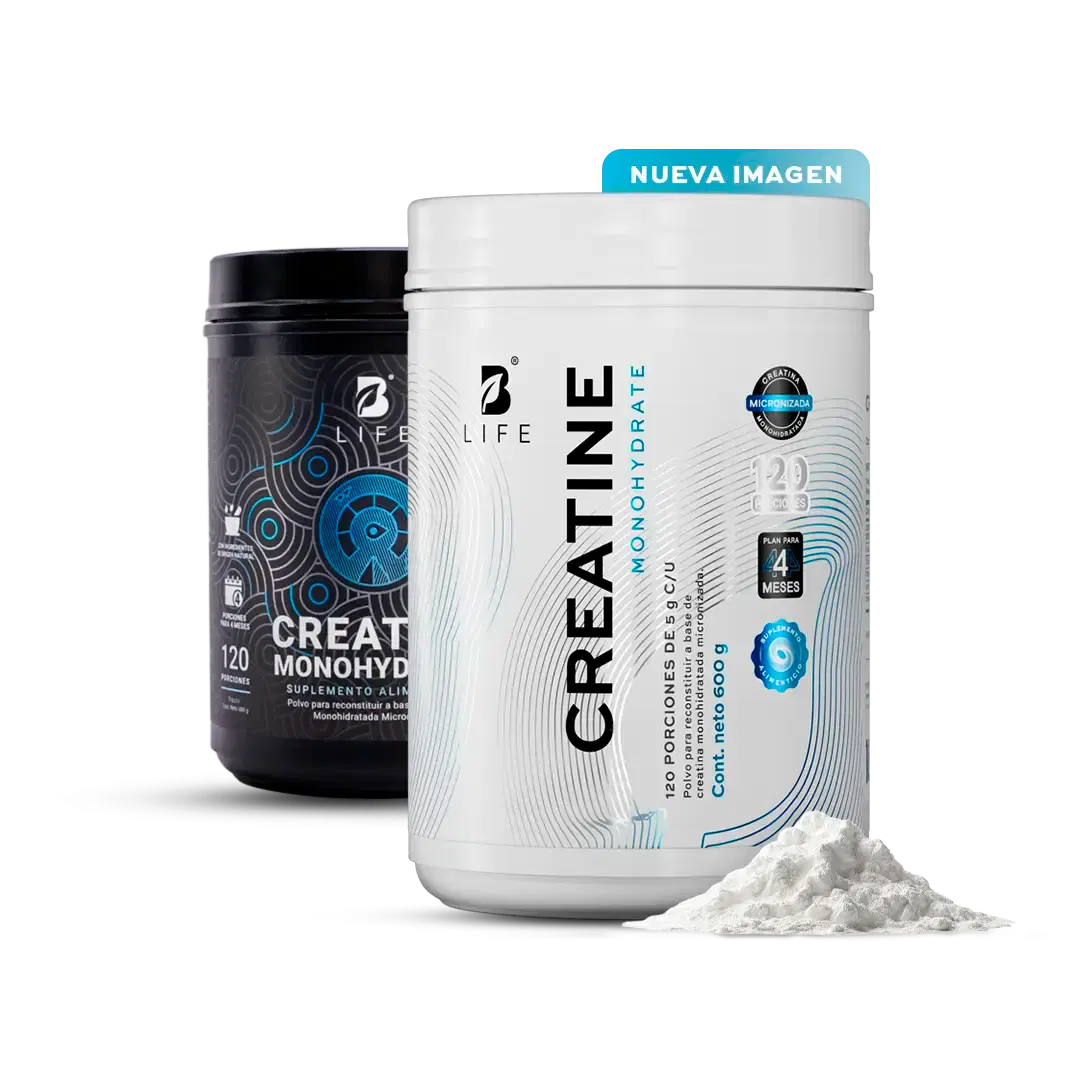 Creatina Monohidrato 120 porciones B Life 600g 1