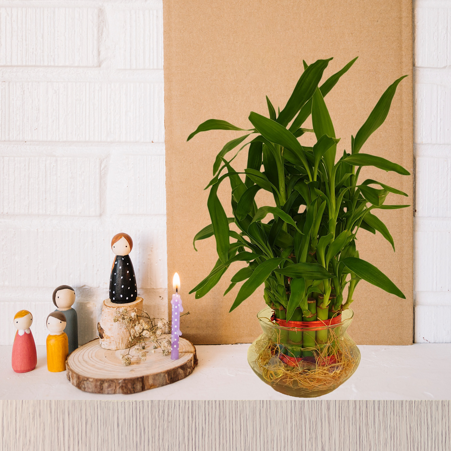 Two Layer Lucky Bamboo Plant in Glass Vase