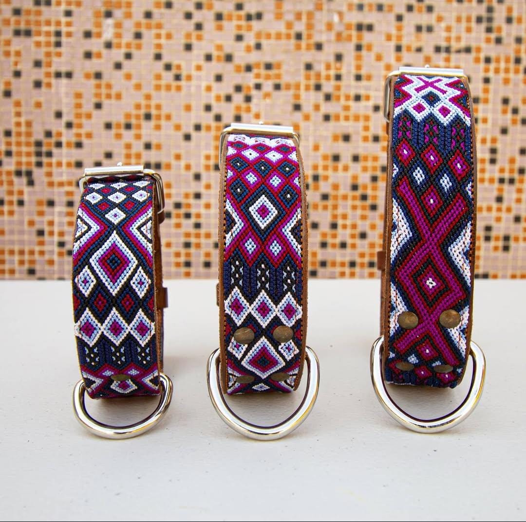 ASCE - Collar para perro