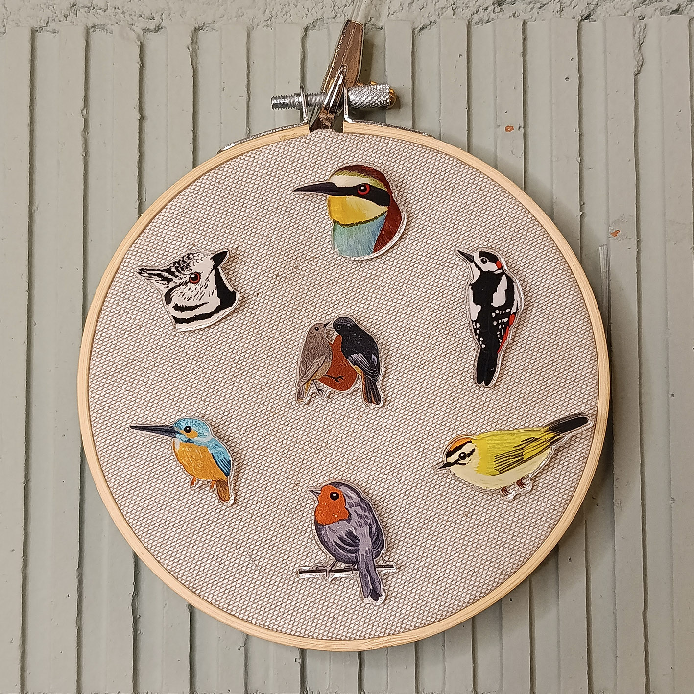 Pin Colirrojo tizón