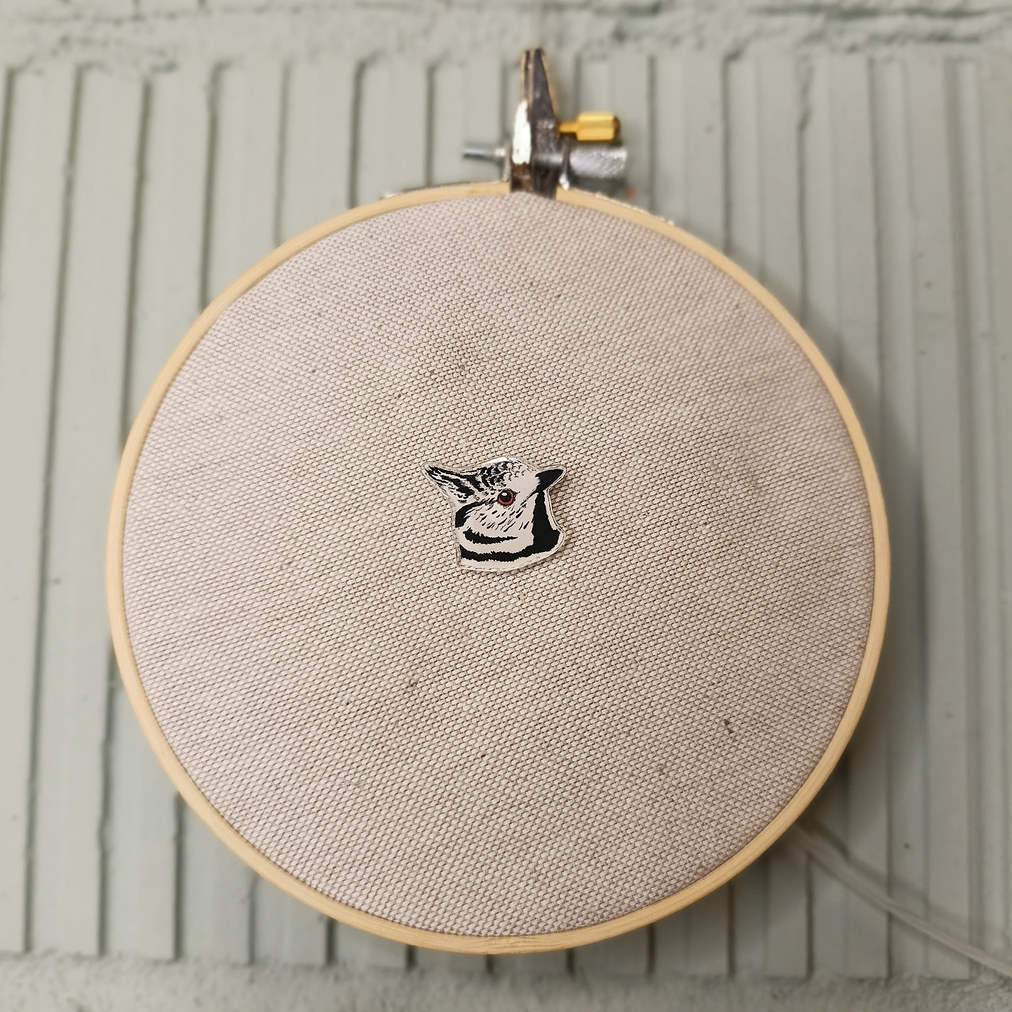 Pin Herrerillo capuchino