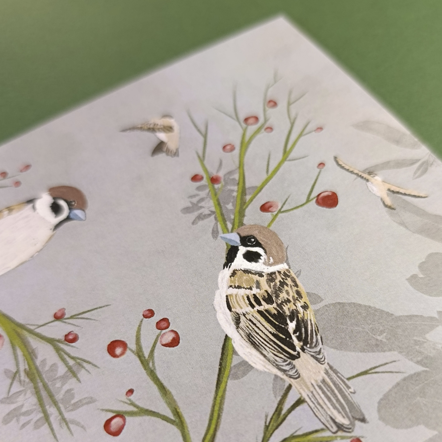 Lámina Gorrión molinero