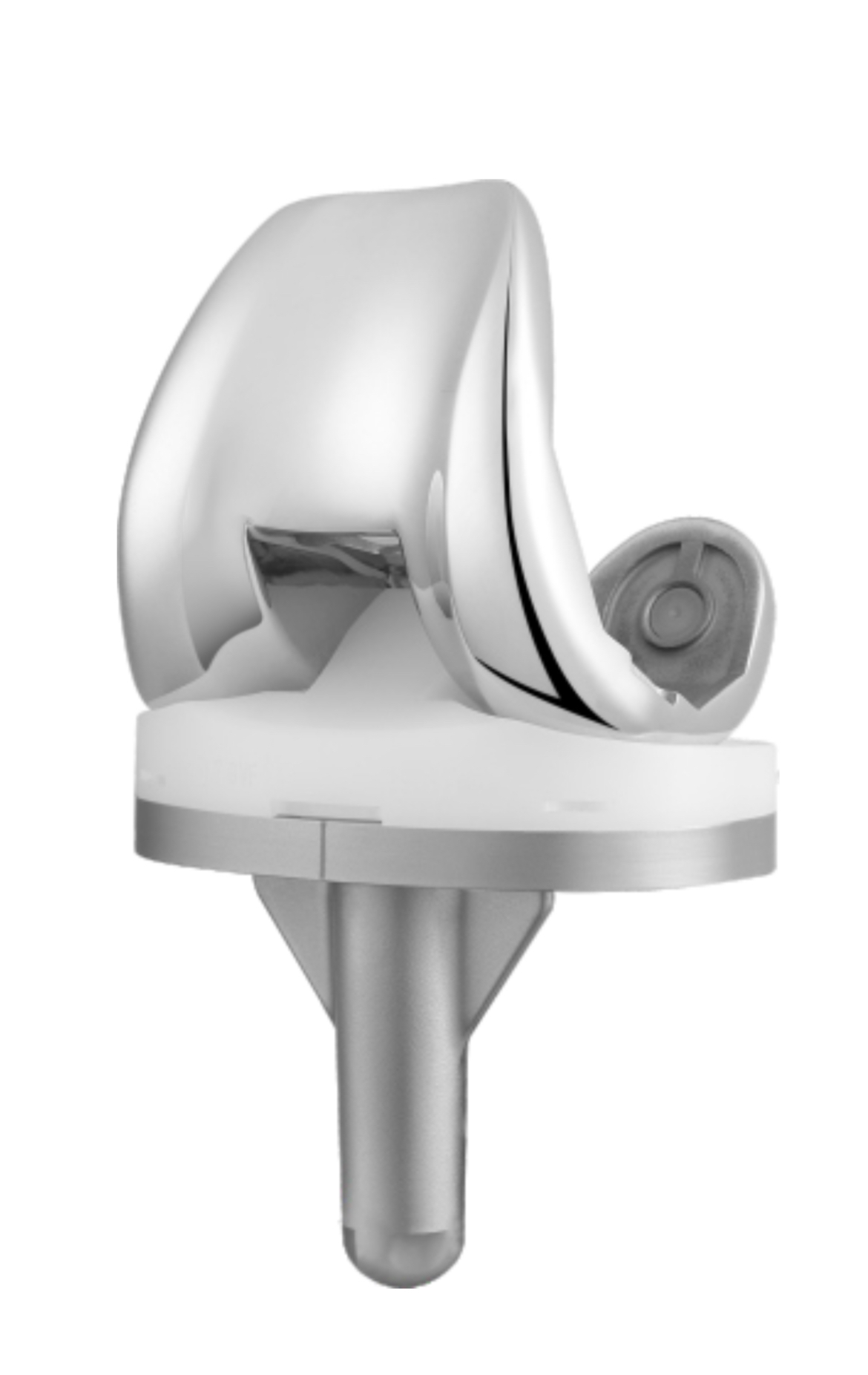 Prótesis Total De Rodilla