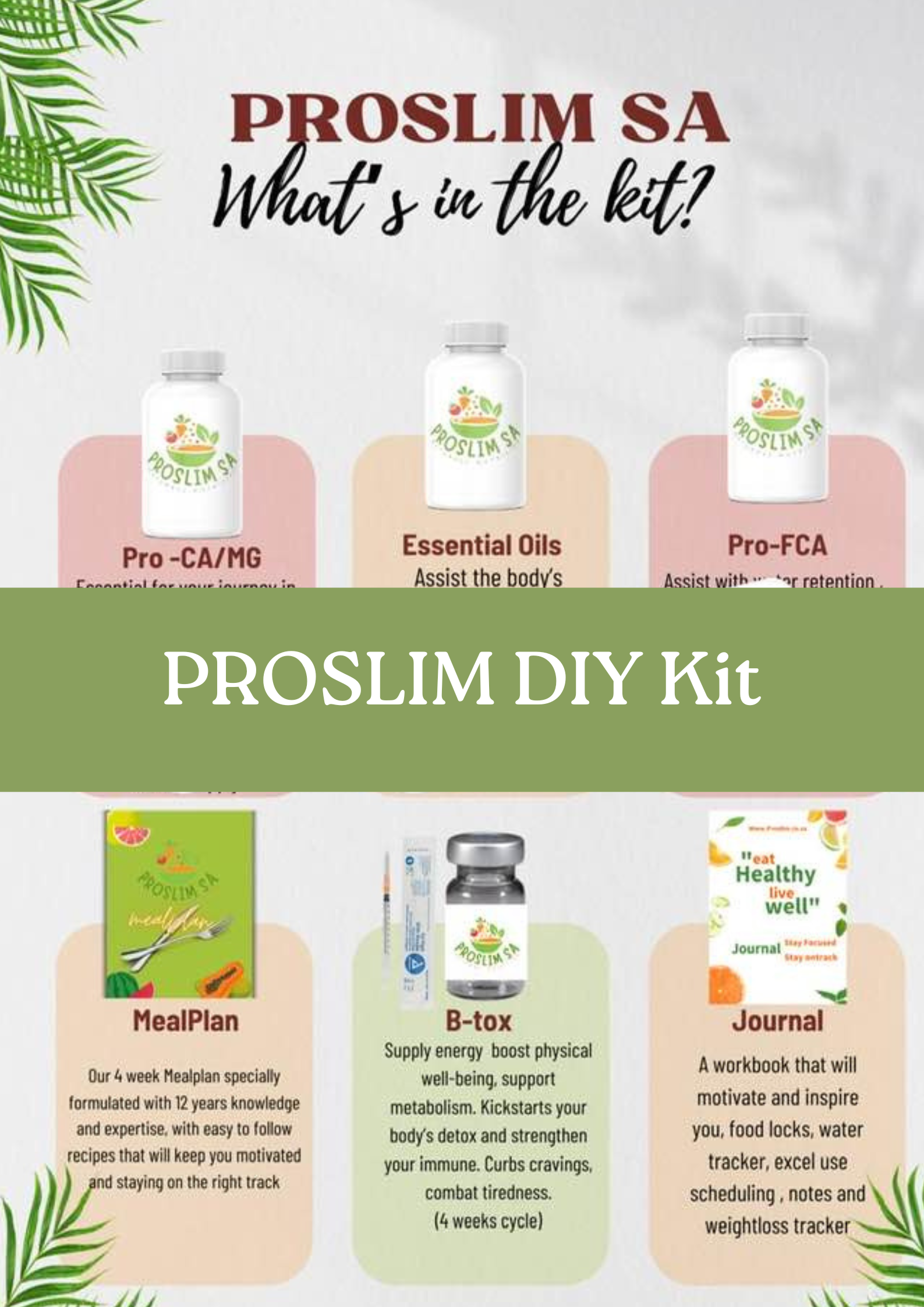 PROSLIM DIY Kit