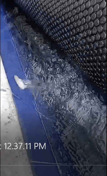 MANTA DE ALTA DENSIDAD PARA PISCINA 