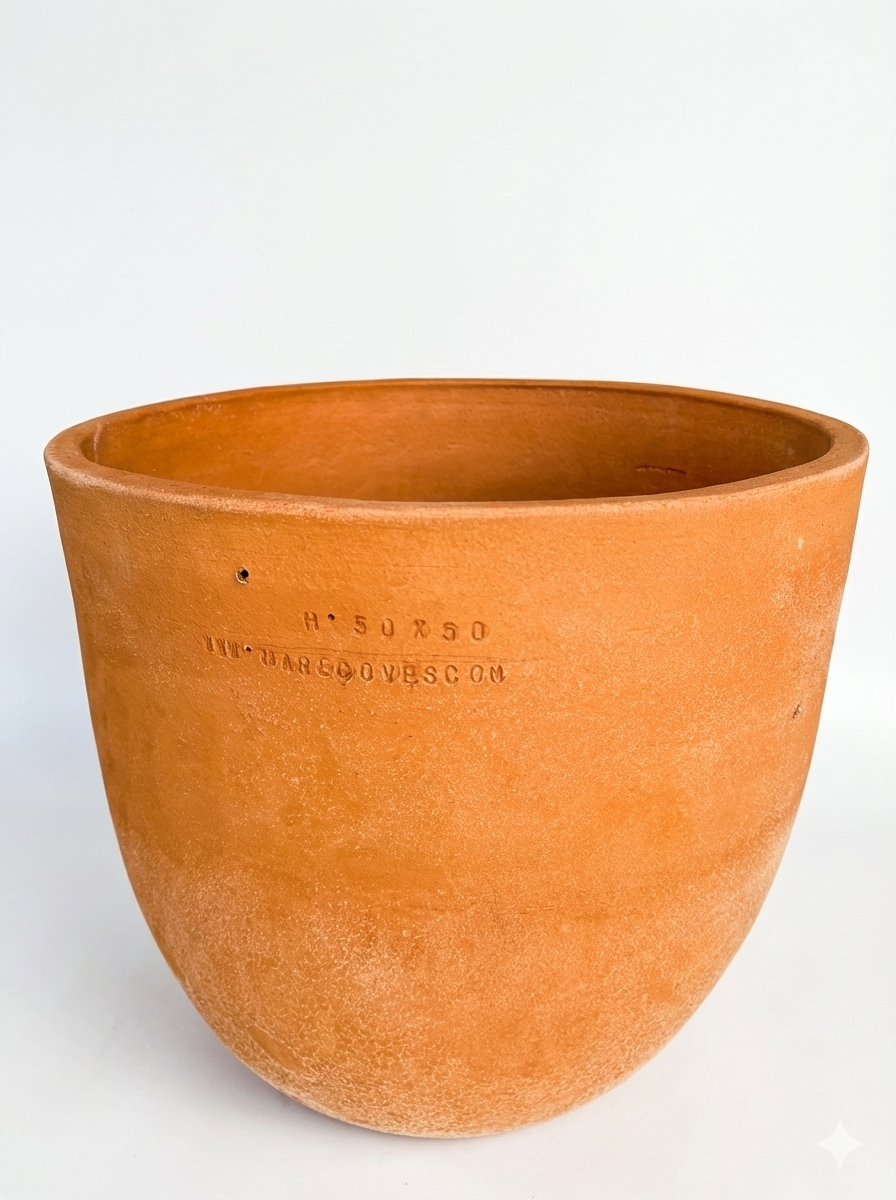 Medium Plain Potted Monstera Planter