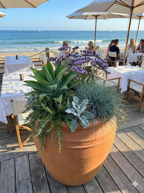 Palm Terracotta Planter H80xW75