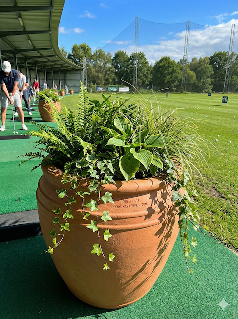 Palm Terracotta Planter H80xW75