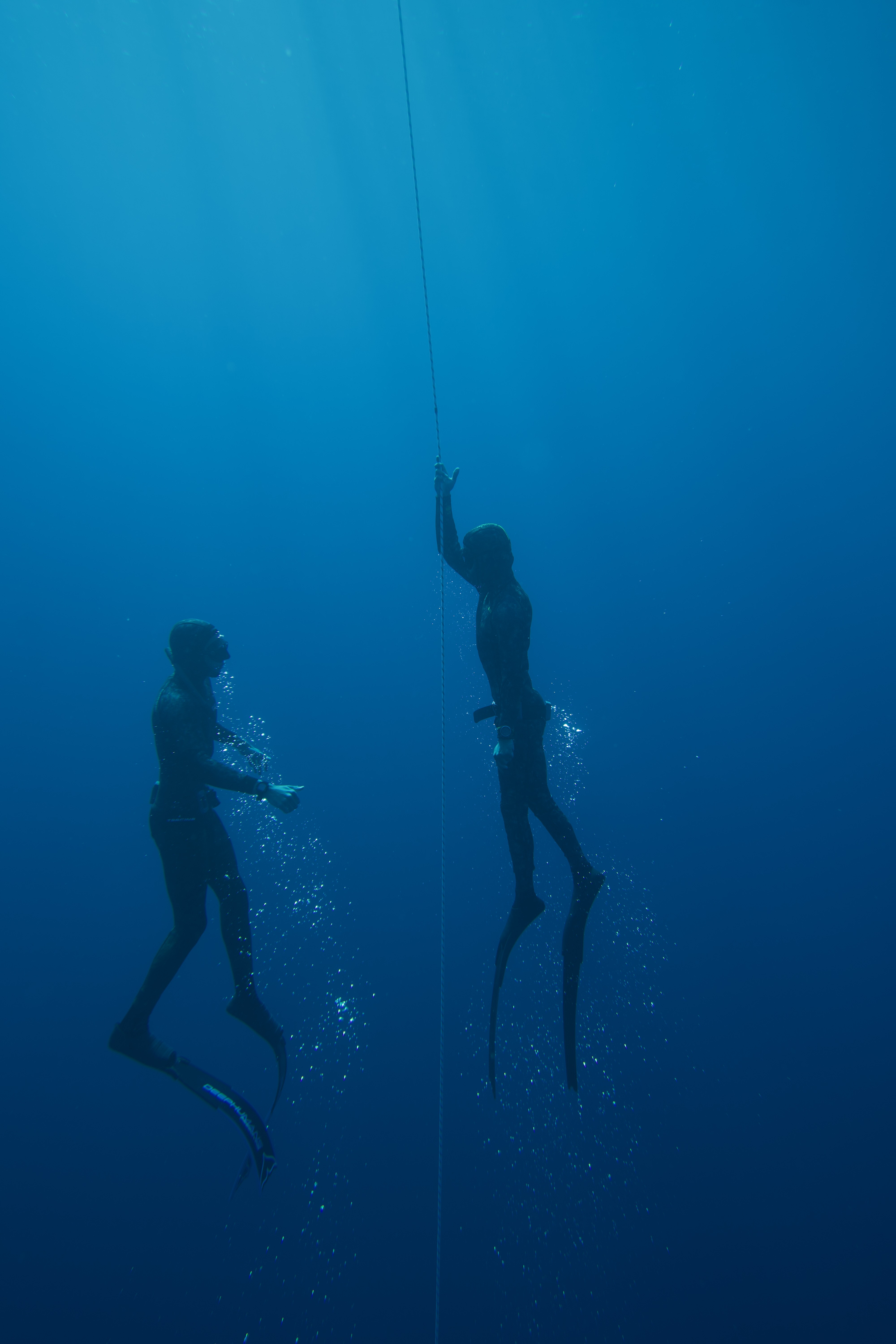 Puerto Vallarta Dive, Culture & Spearfishing Retreat