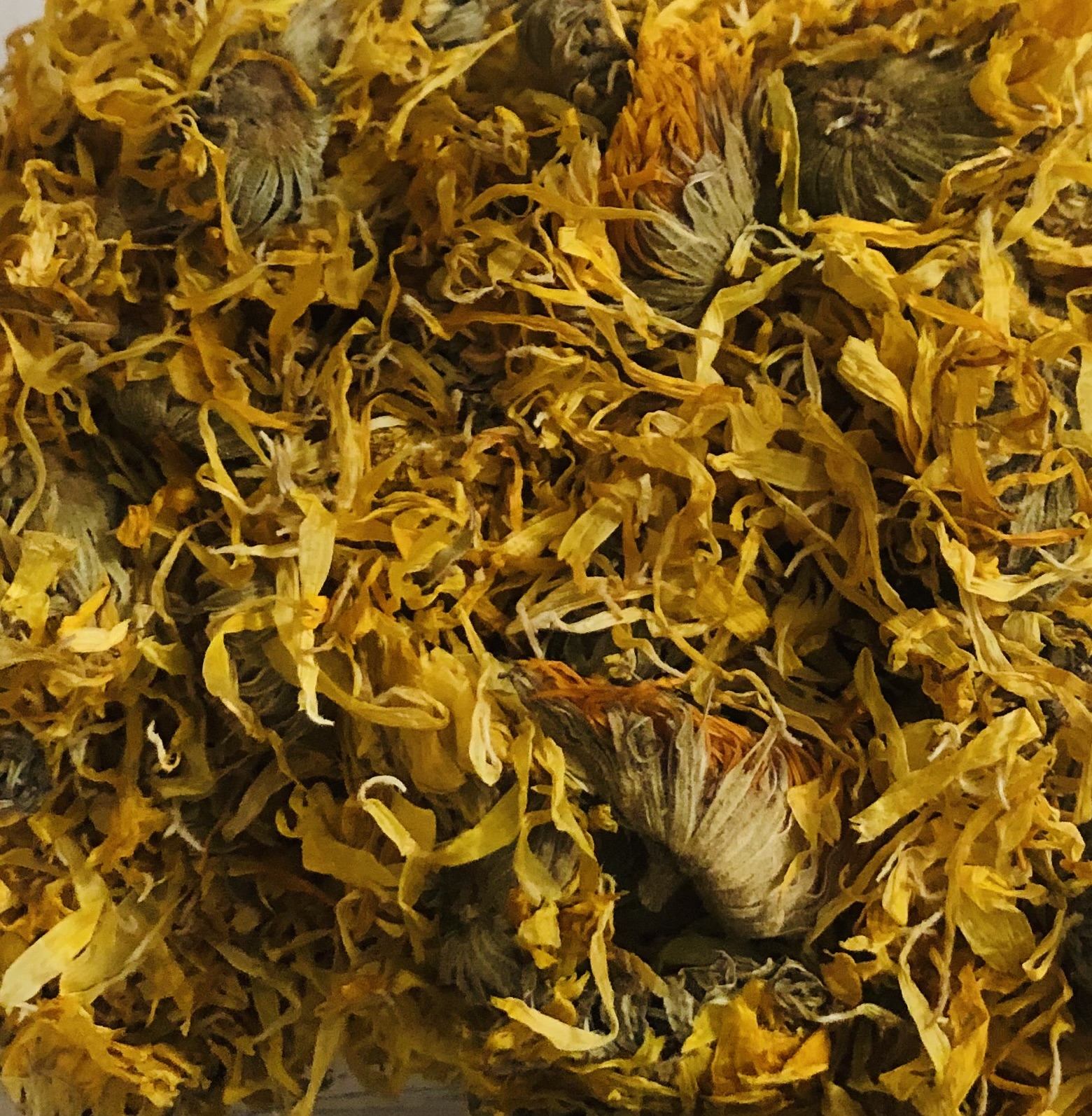 Calendula 