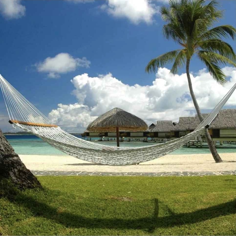 Castaway 13 ft. Cotton Rope Hammock