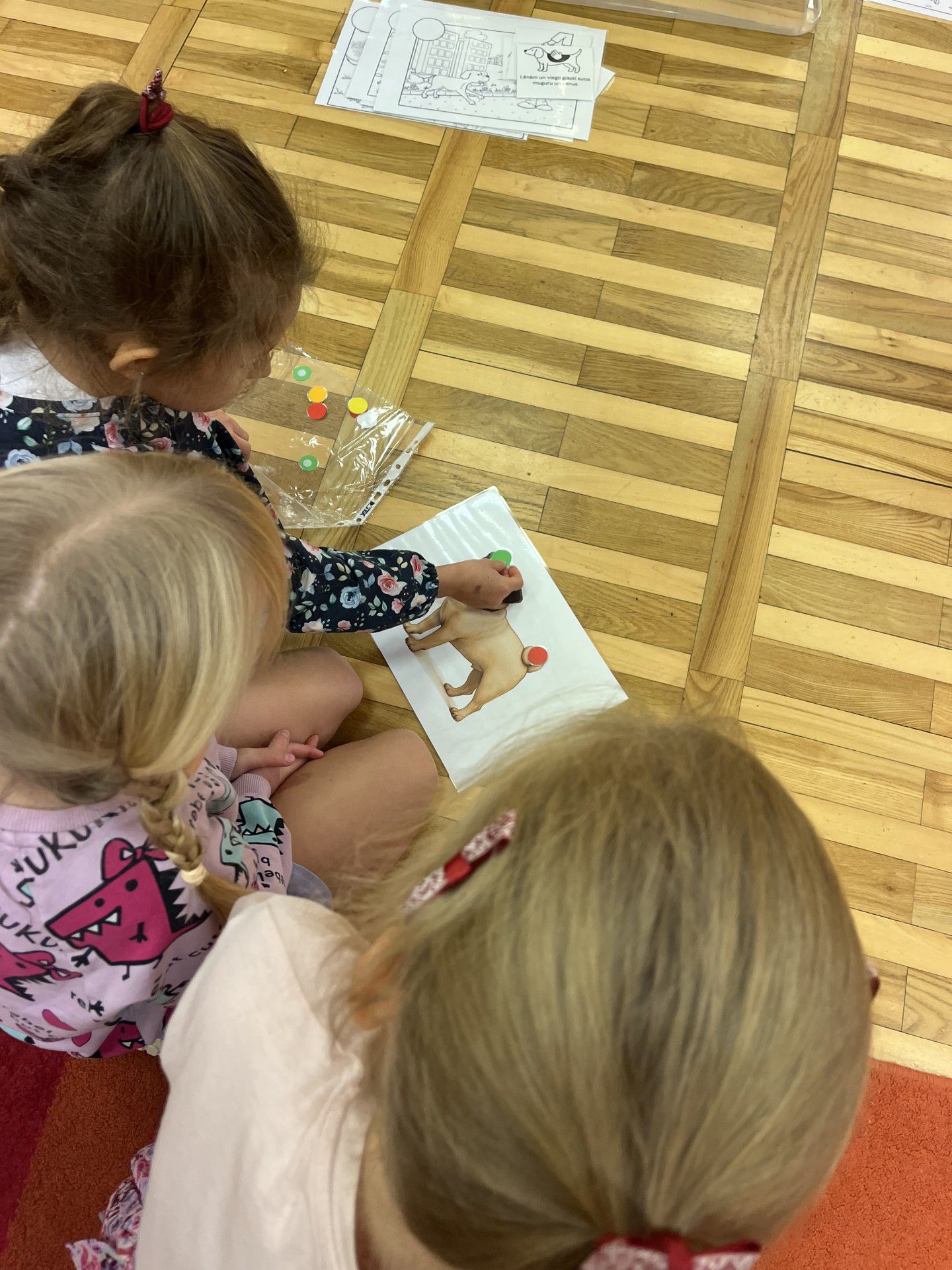 Dienas centra apmeklējuma abonements