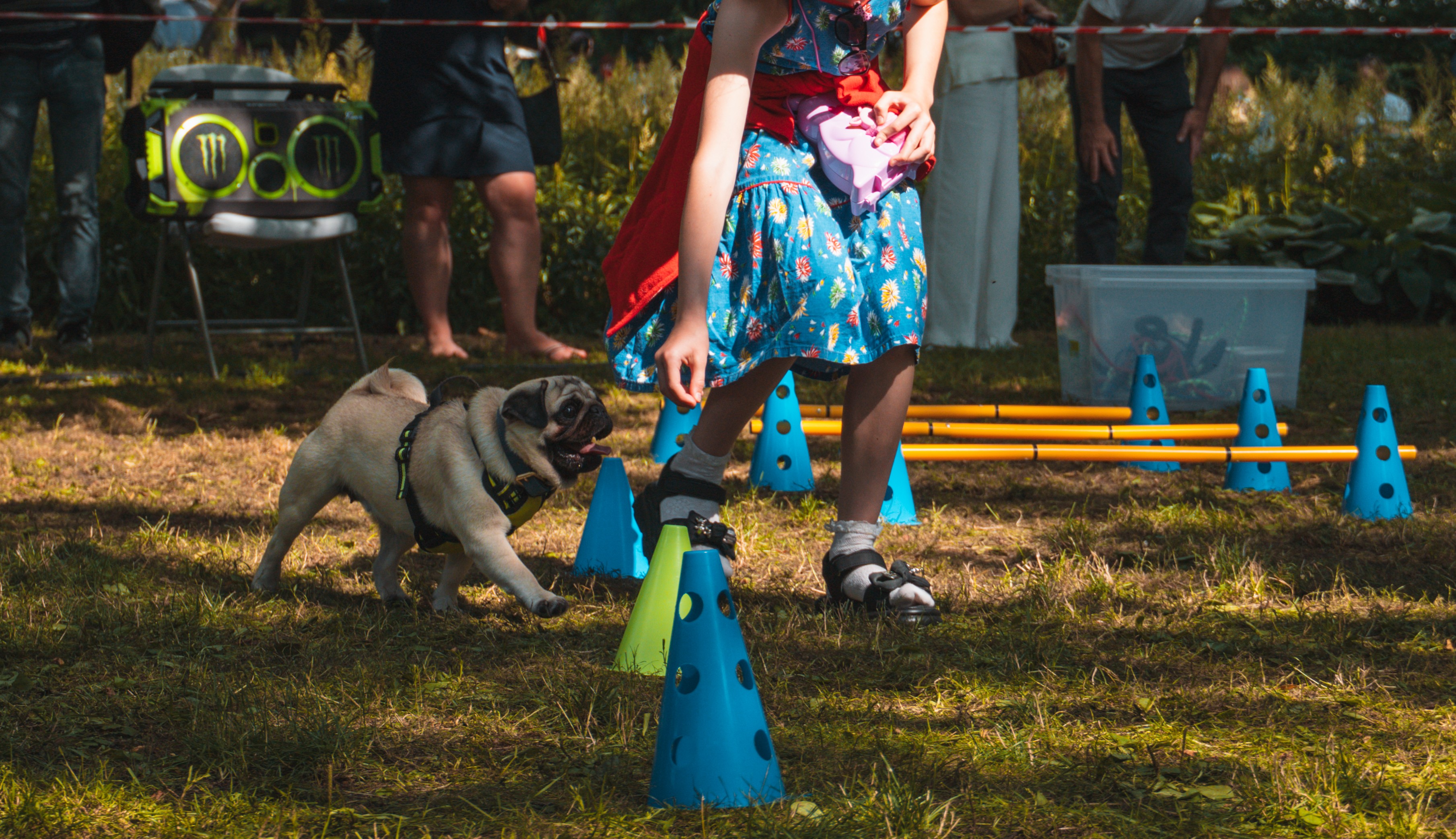 Abonements 5 individuālās kanisteraspijas nodarbībām