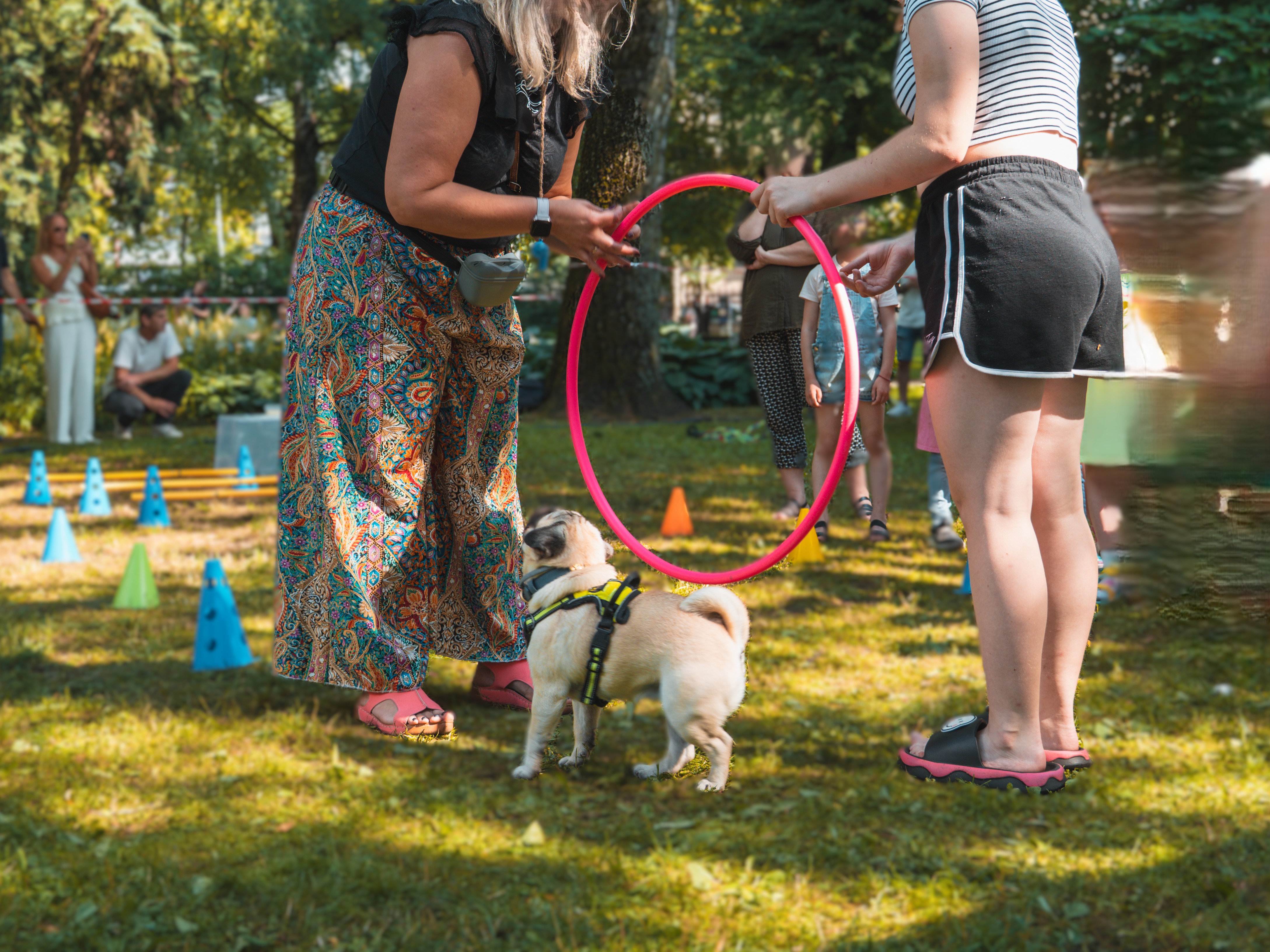 Individuāla kanisterapijas nodarbība