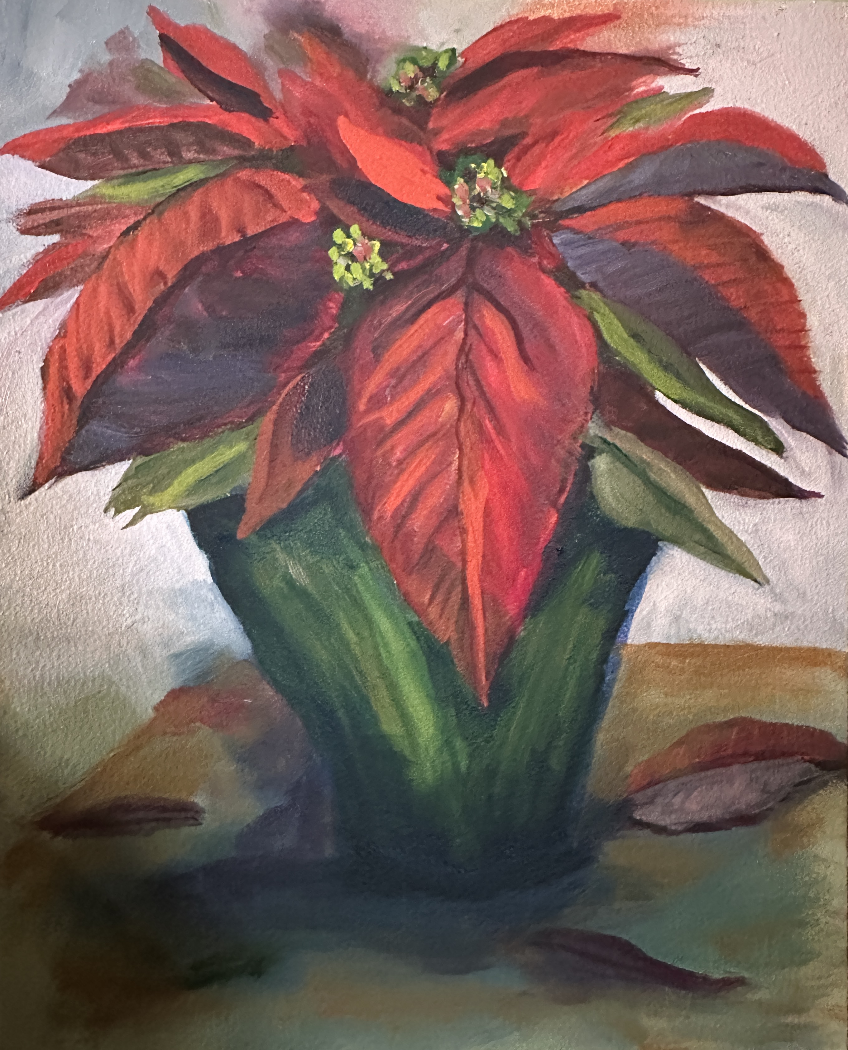 Poinsettia 