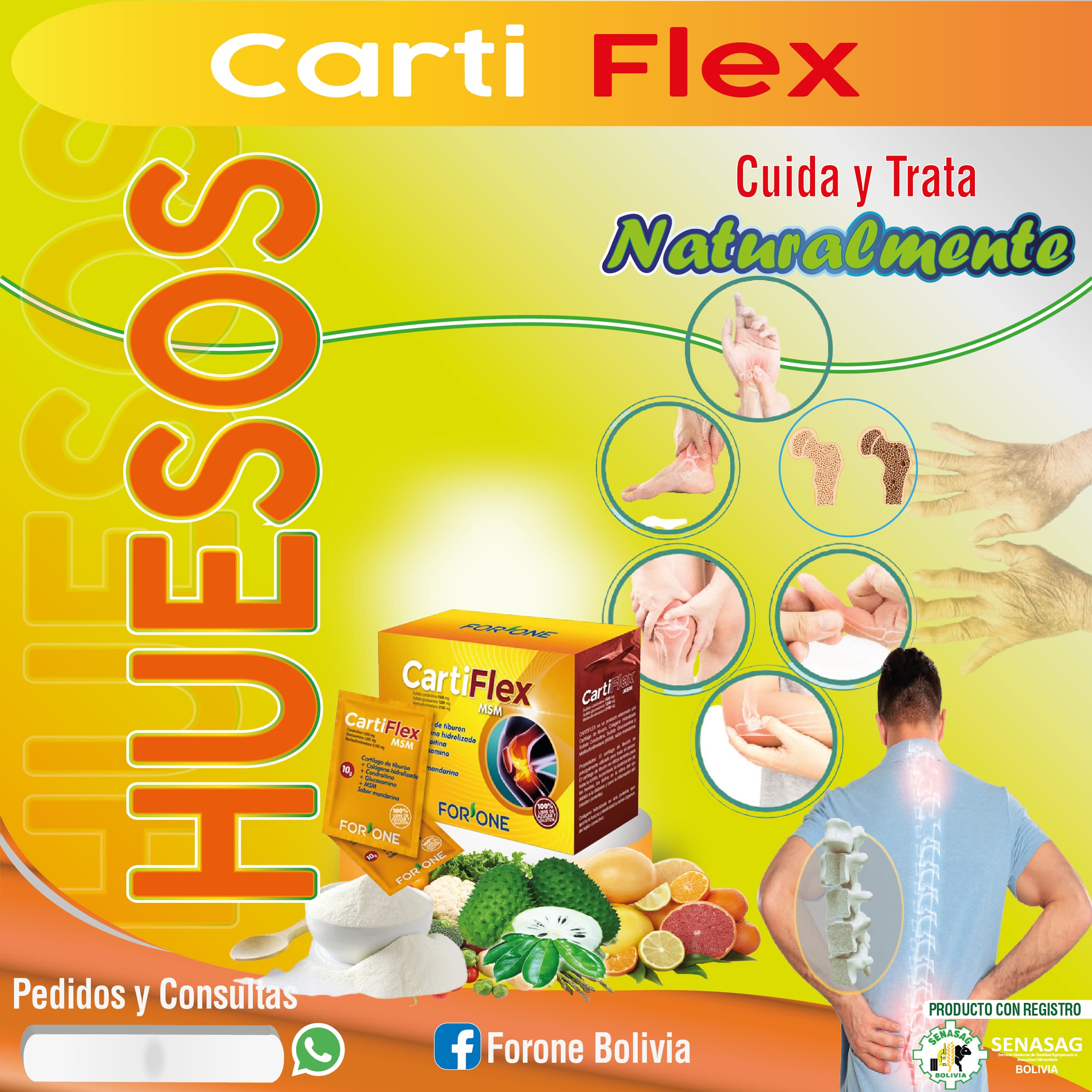 CartiFlex MSM