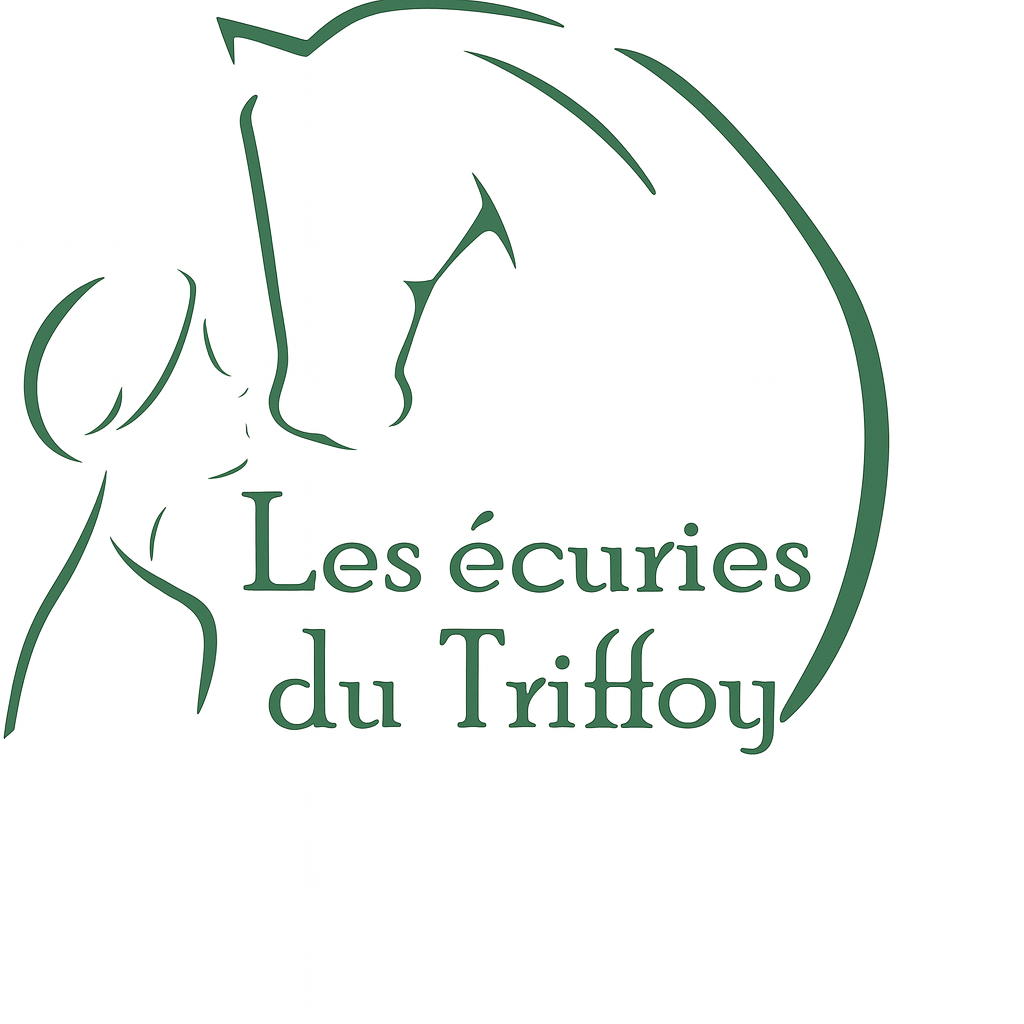 Location du van à la journée