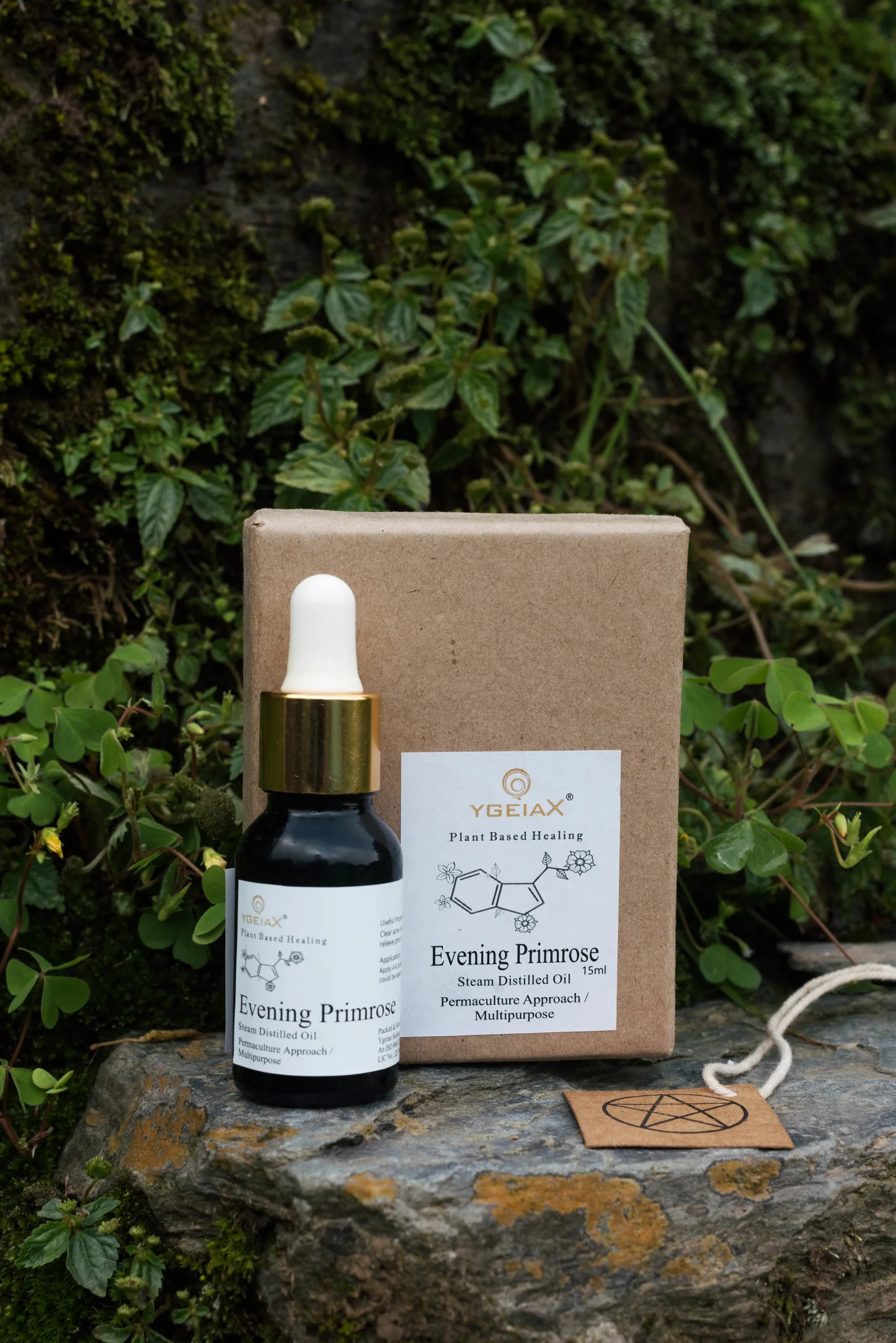 YGEIA - Evening Primrose | Steam Distilled Oil | 15ml