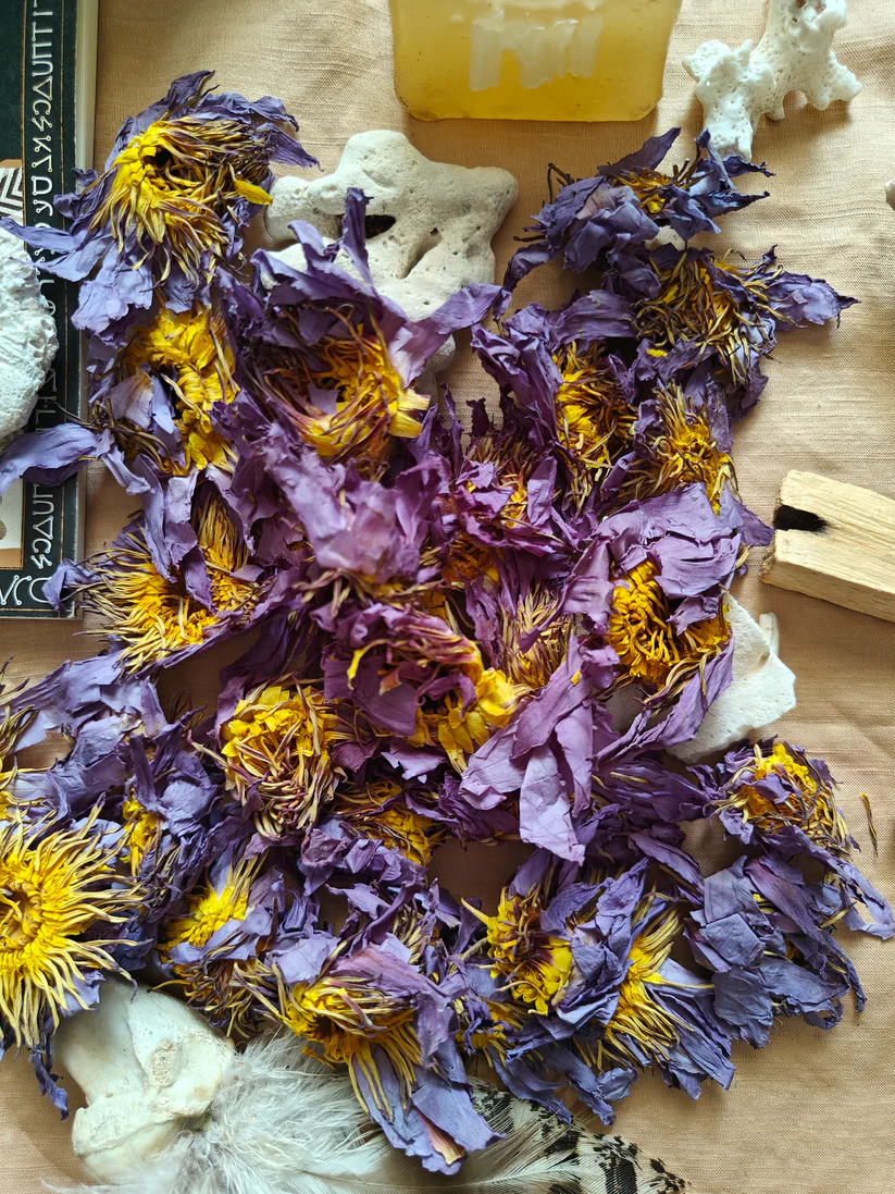 YGEIA - Blue Lotus Flower - 50g