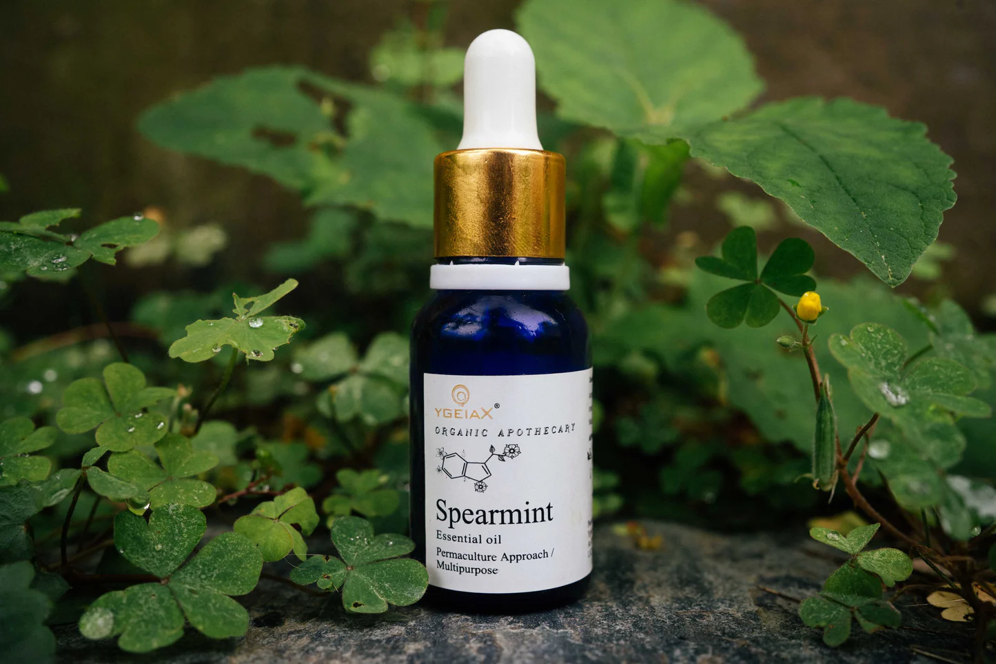 YGEIA - Spearmint | Steam Distilled Oil | 15ml