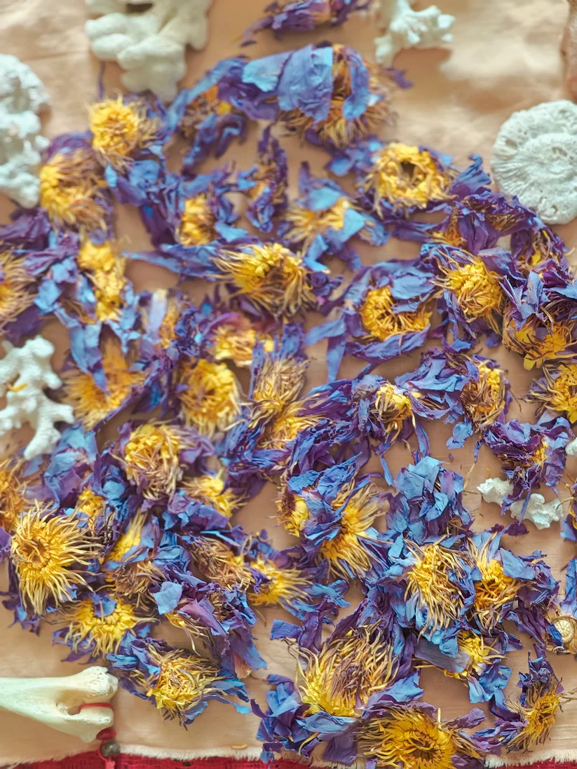 YGEIA - Blue Lotus Flower - 50g