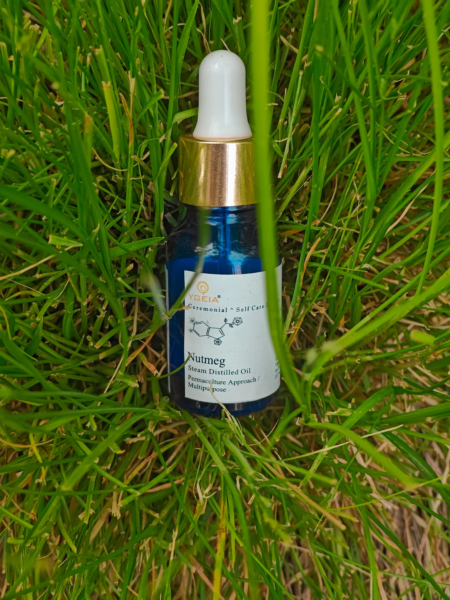 YGEIA - Nutmeg | Steam Distilled Oil  | 15ml