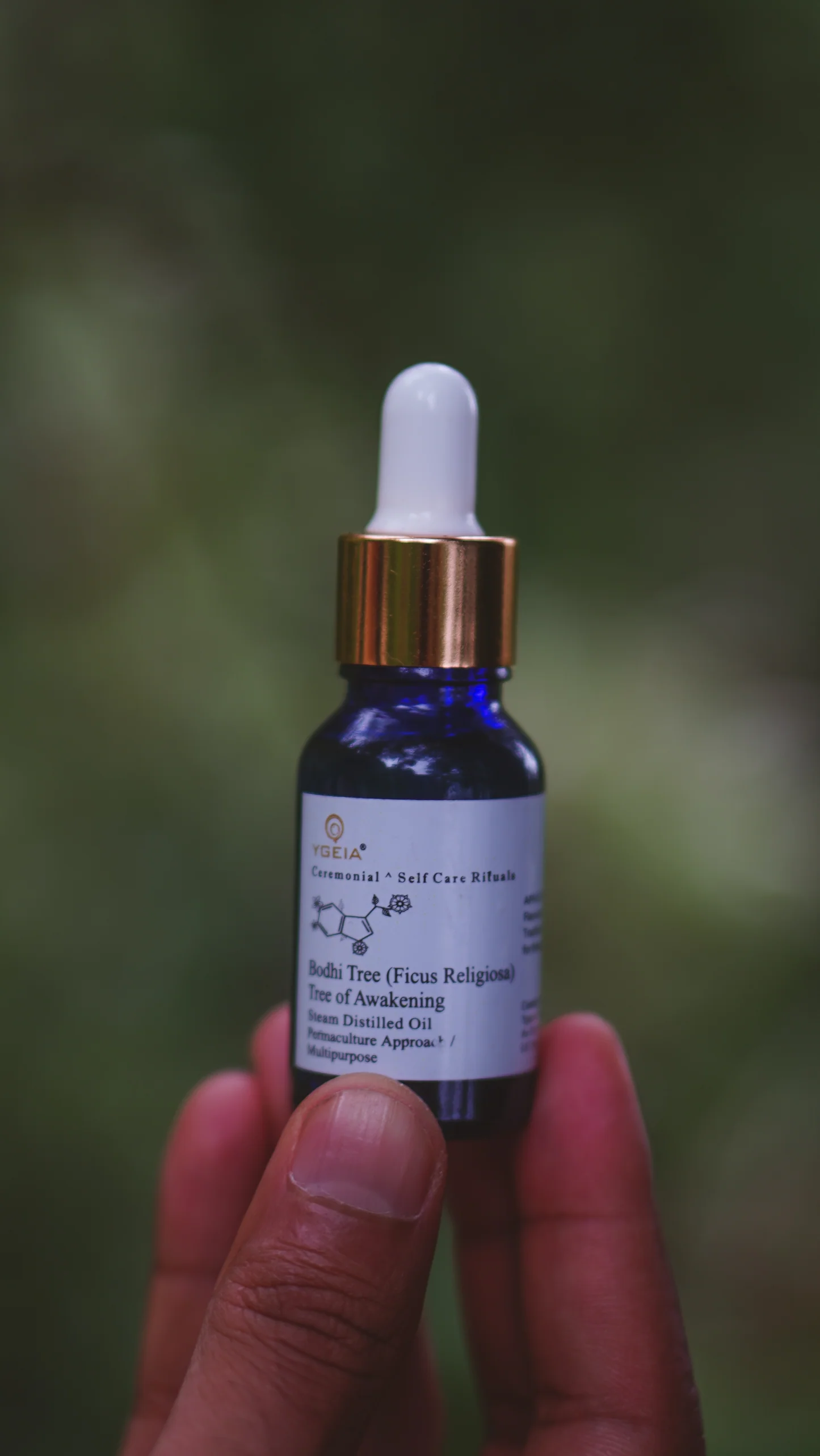 YGEIA - Bodhi Tree | Steam Distilled Oil | 15ml