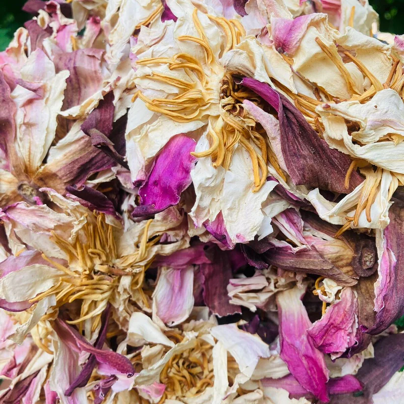 YGEIA - White Lotus Flower - 50g