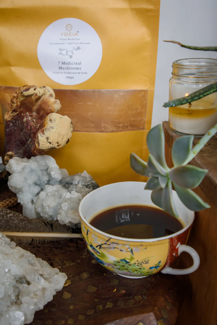 YGEIA - Organic Mushroom Blend | 200 g