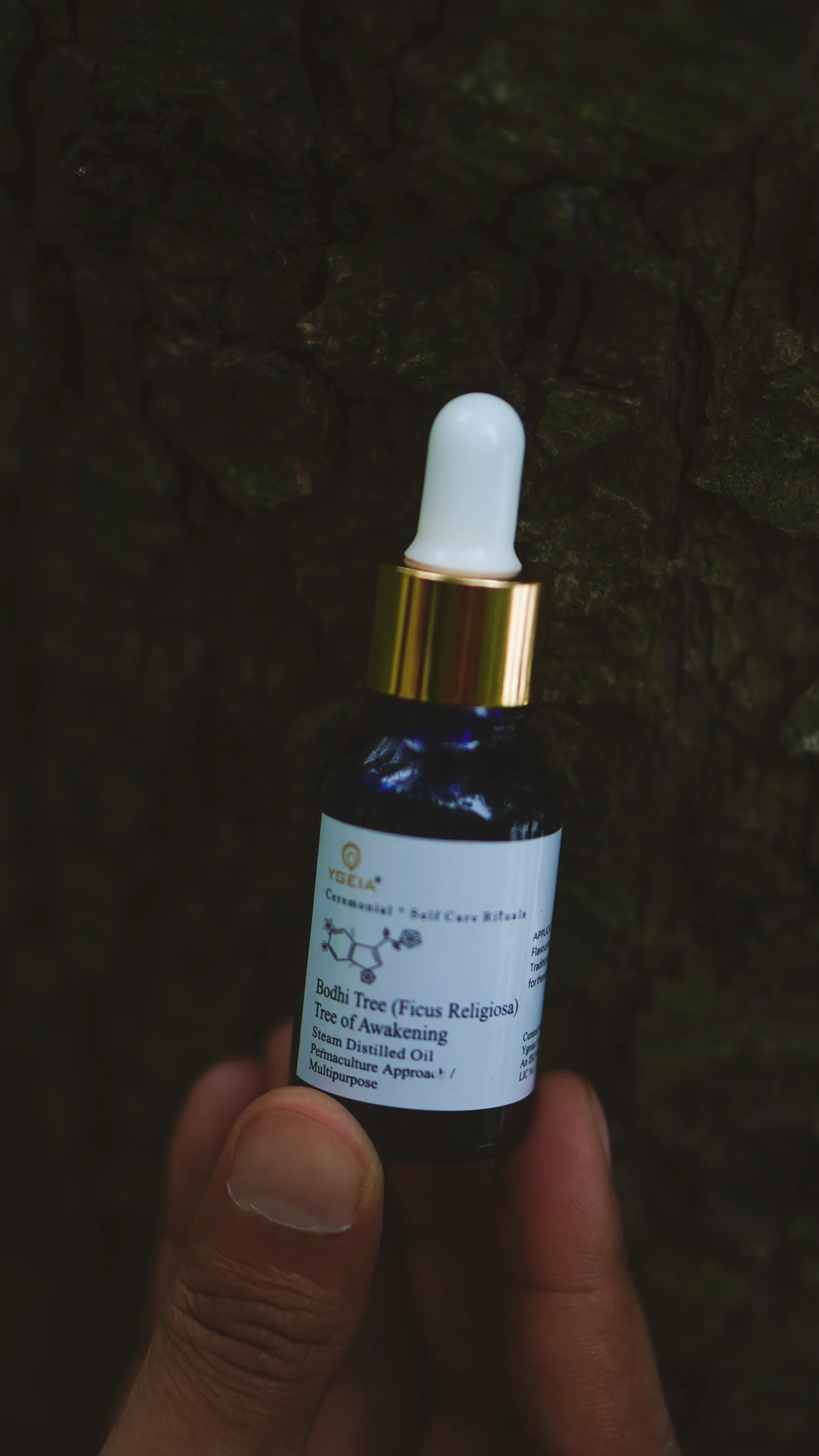 YGEIA - Bodhi Tree | Steam Distilled Oil | 15ml