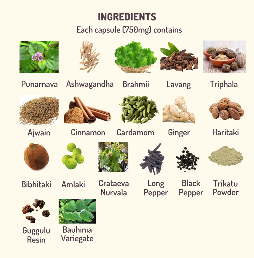 YGEIA - Thyroid Care | 60 Kapseln 