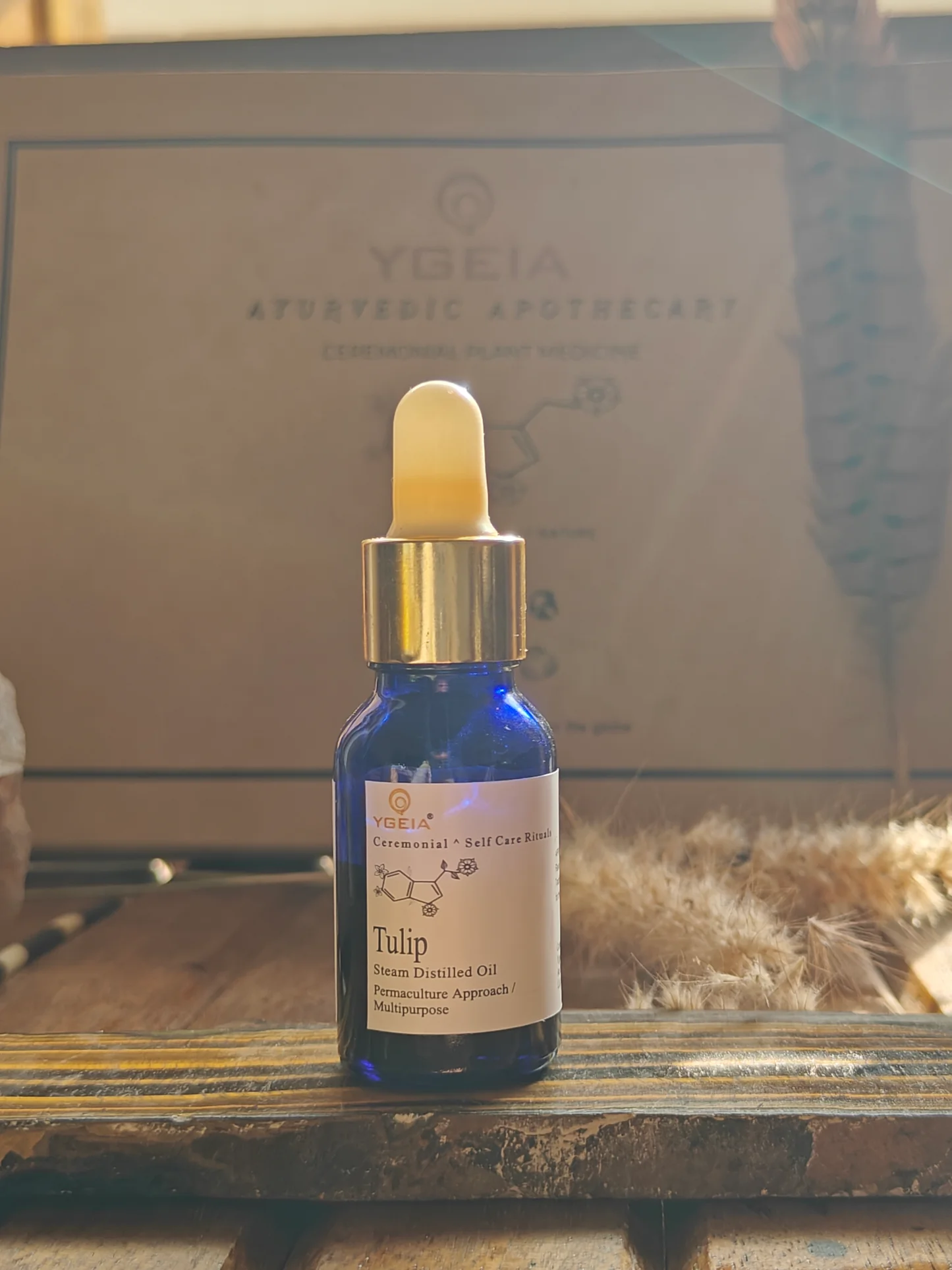YGEIA - Tulip | Steam Distilled Presssed Oil | 15ml