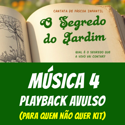 Playback Avulso - 4 ELE VIVE