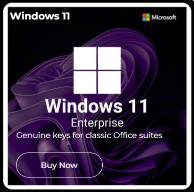 Windows 11 Enterprise