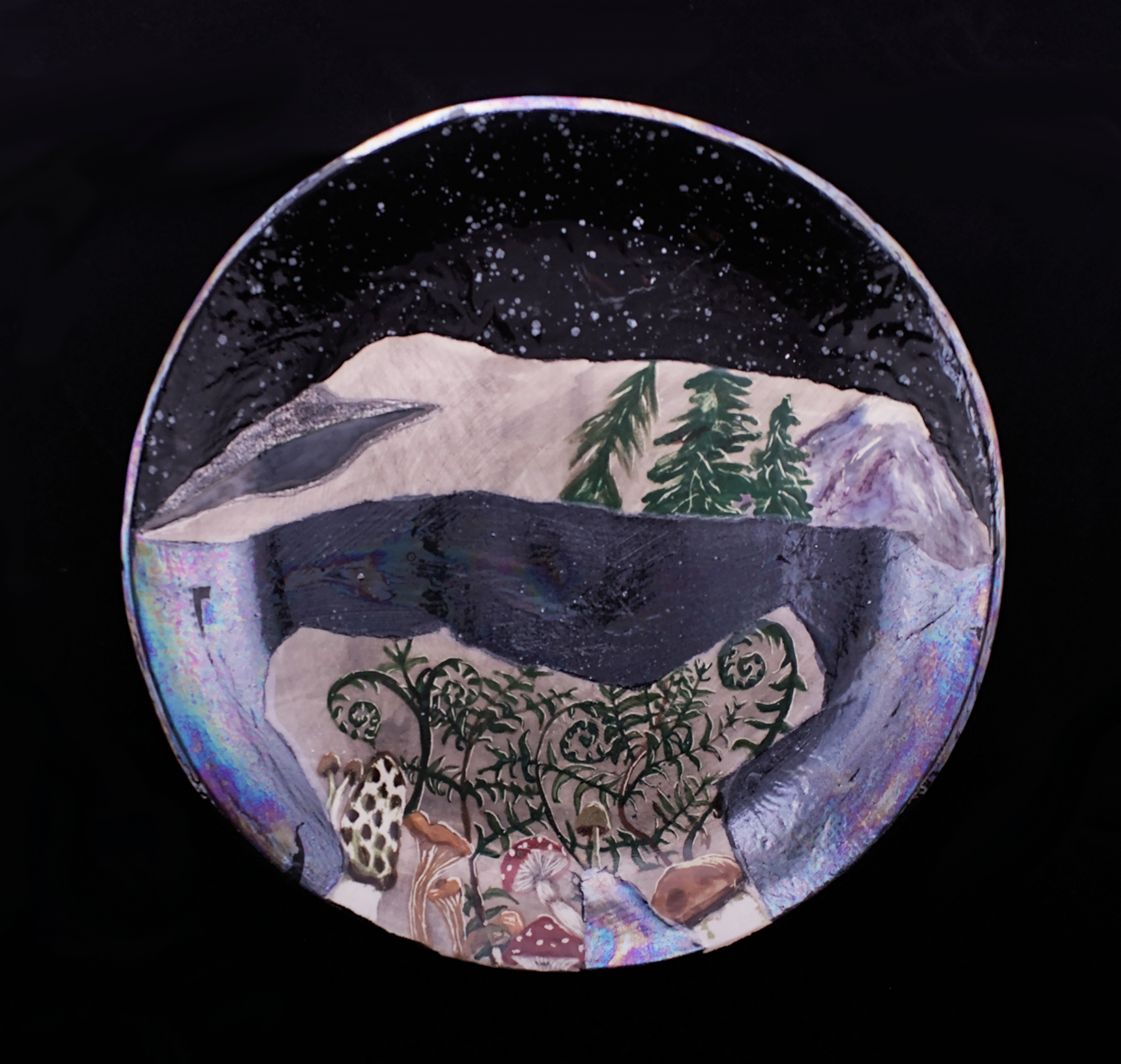 Dream of Mushrooms and a Spaceship