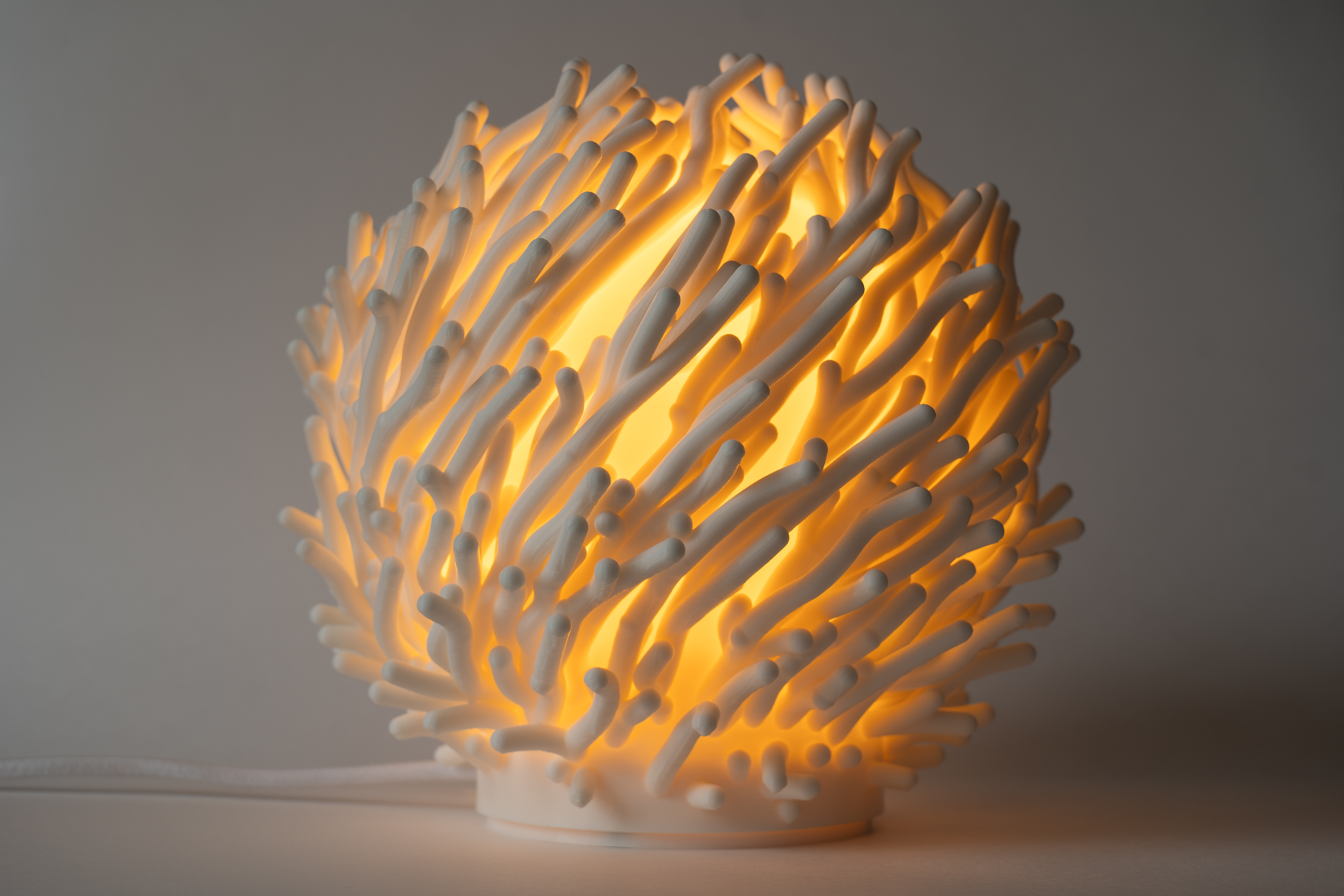 Coral sculpted lamp