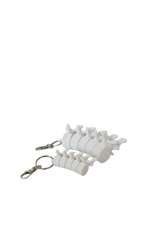 Spine Vertebrae Keychain