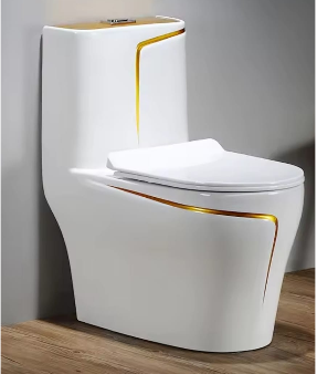 Inodoro moderno de lujo