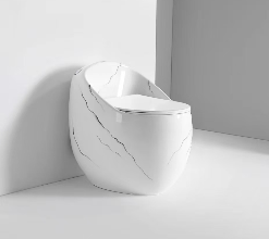 Inodoro moderno de lujo