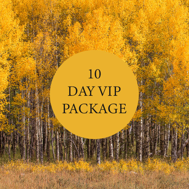  10 Days Of Fall Adventurer