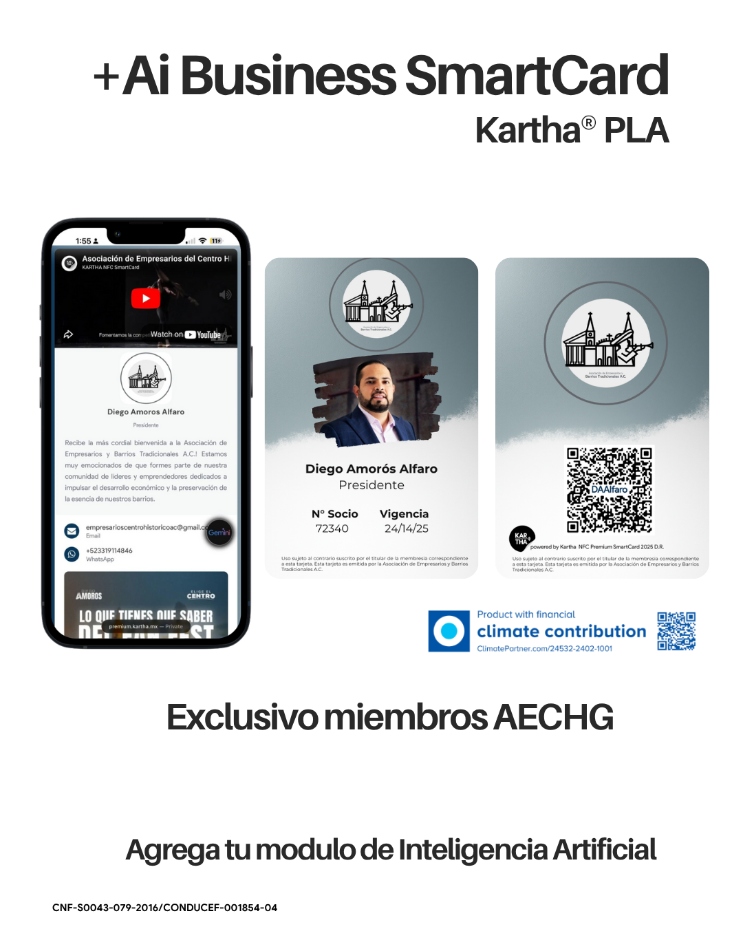 PLA Color Plastic SmartCard Membership