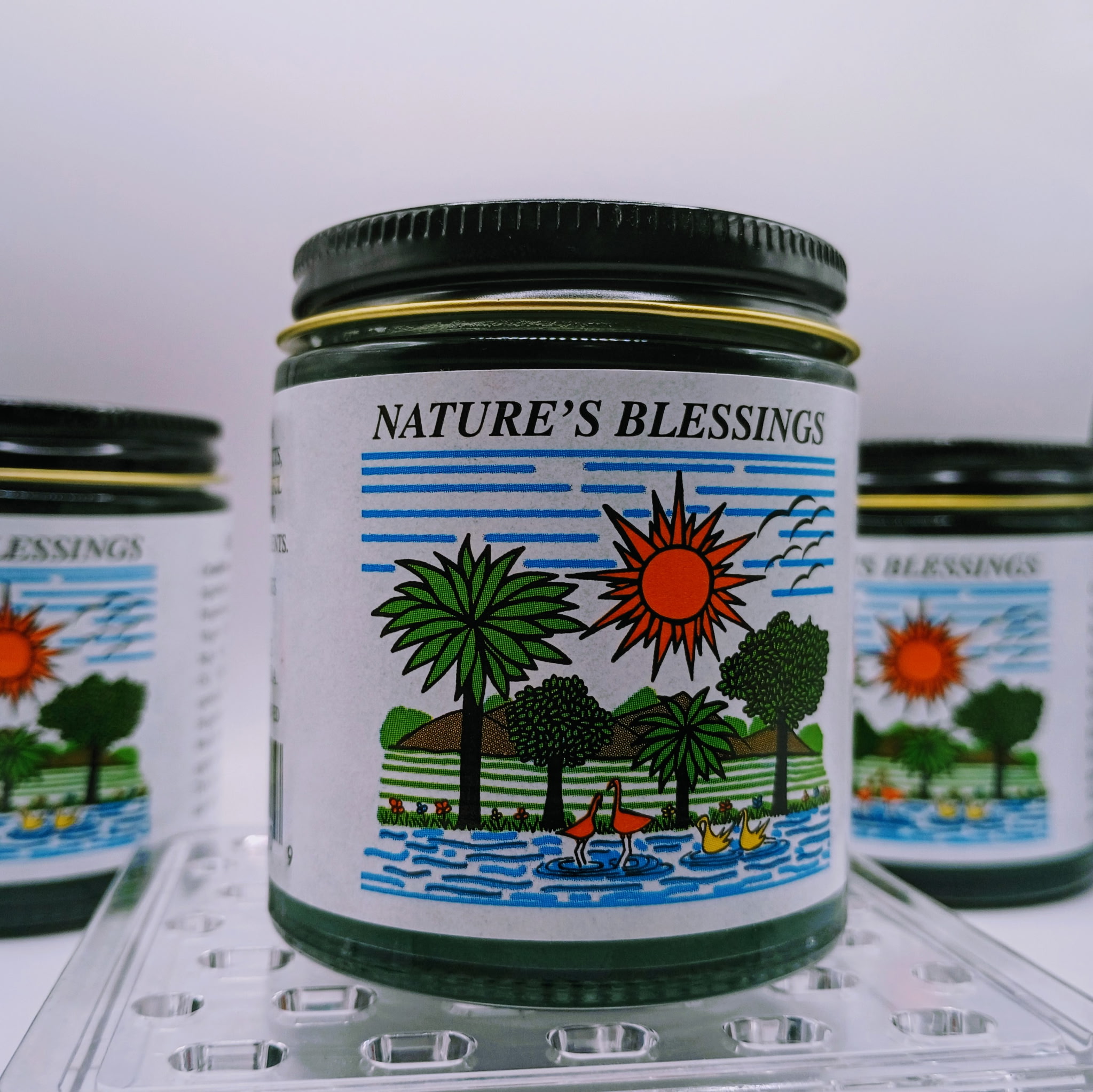 Nature's Blessings (Hair Pomade)