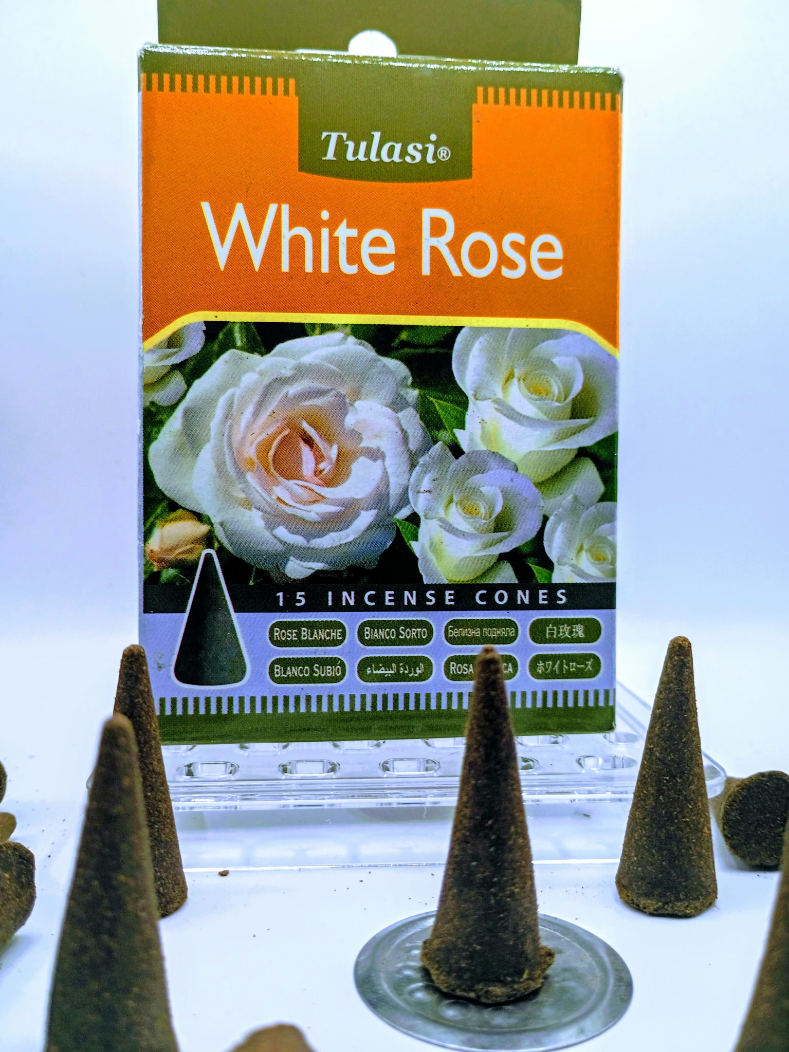 White Rose Cones
