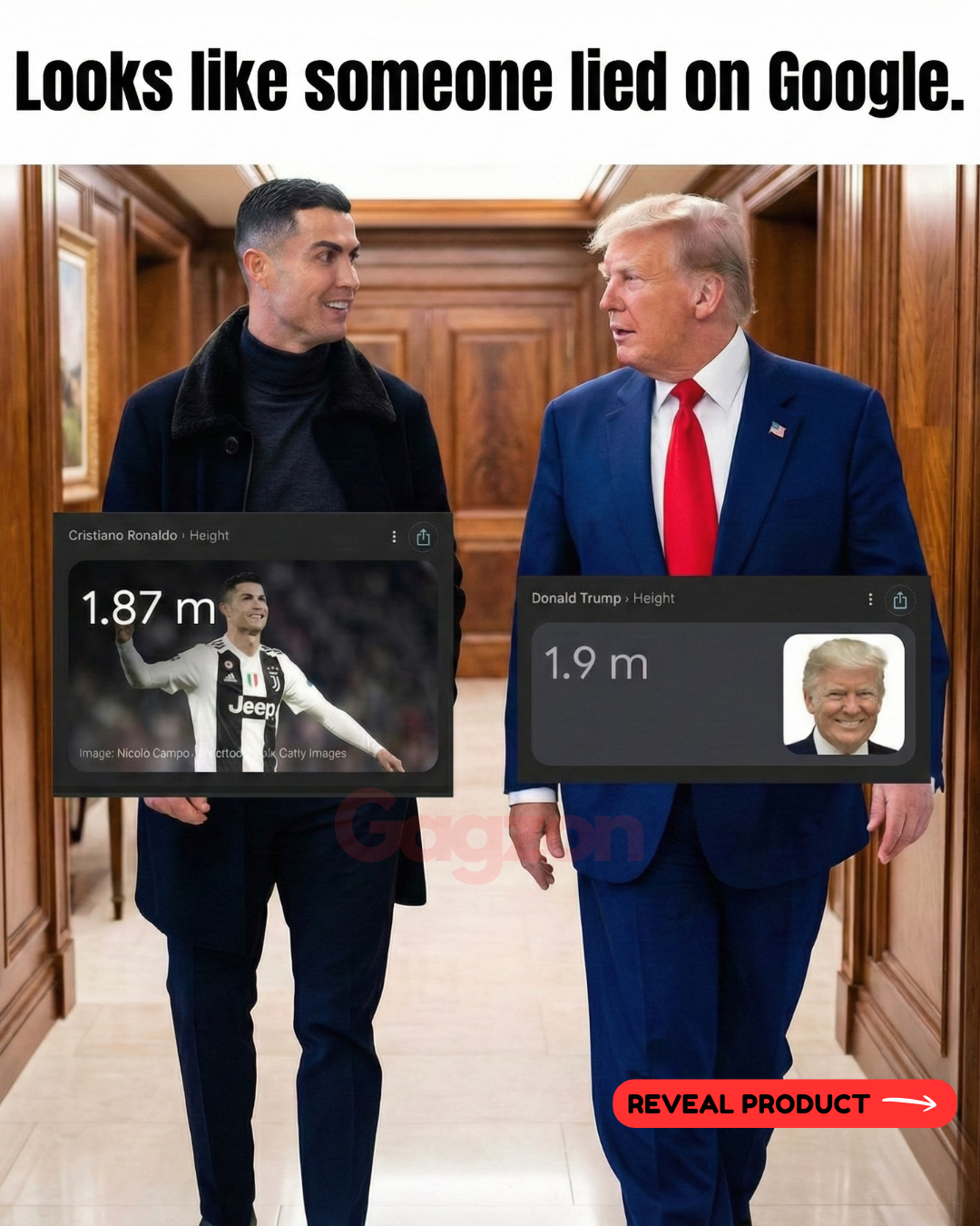 Looks like someone lied on Google