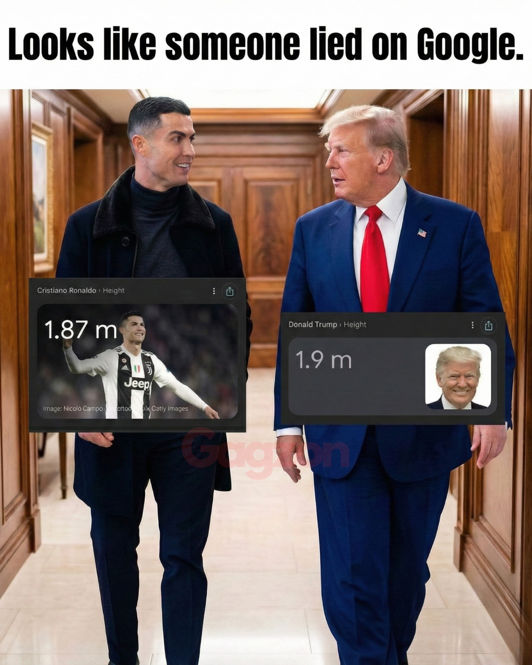 Looks like someone lied on Google