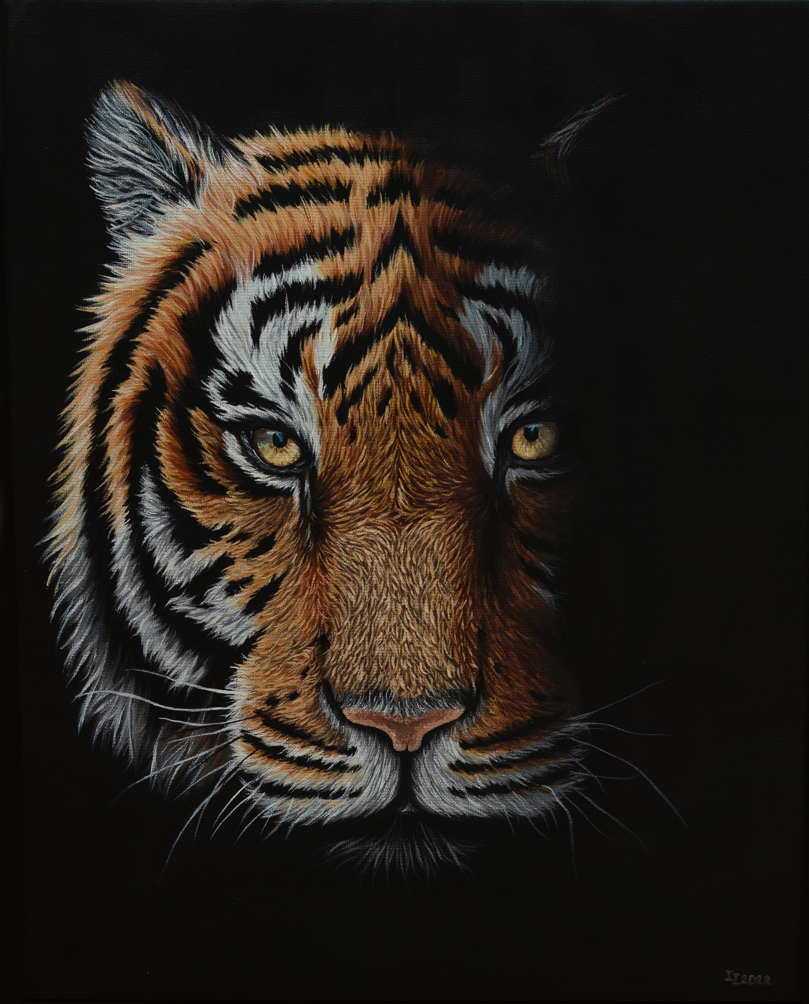 The Striped - print