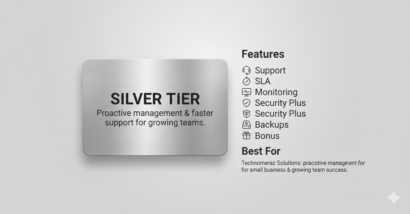 Silver Tier