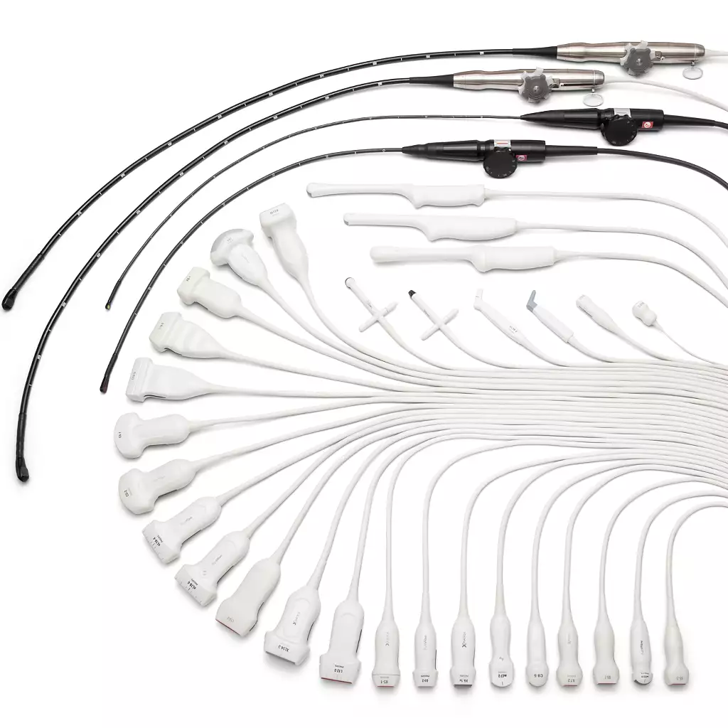 Philps Ultrasound Transducer Probe Collection