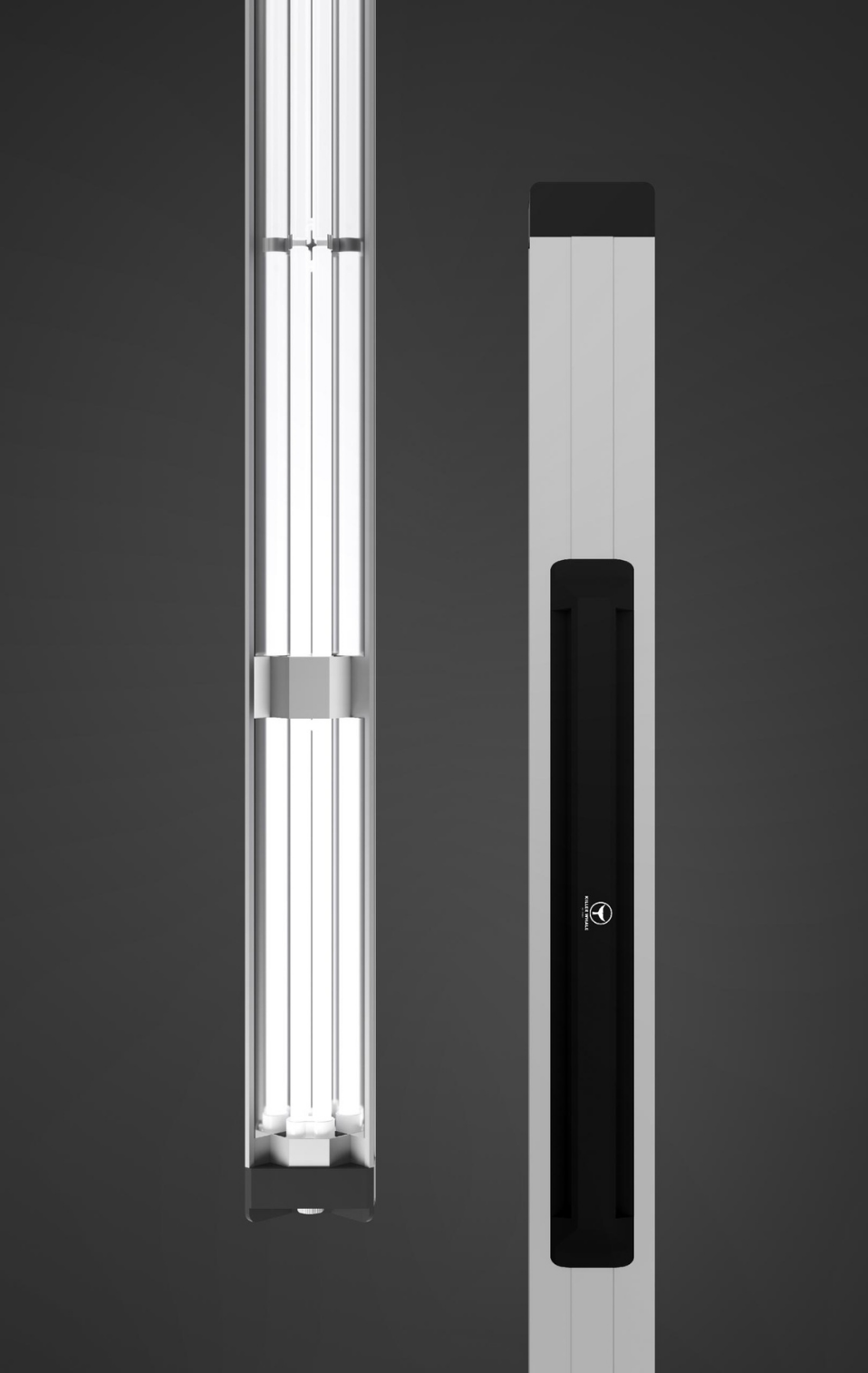 KILLER WHALE SKY LIGHT