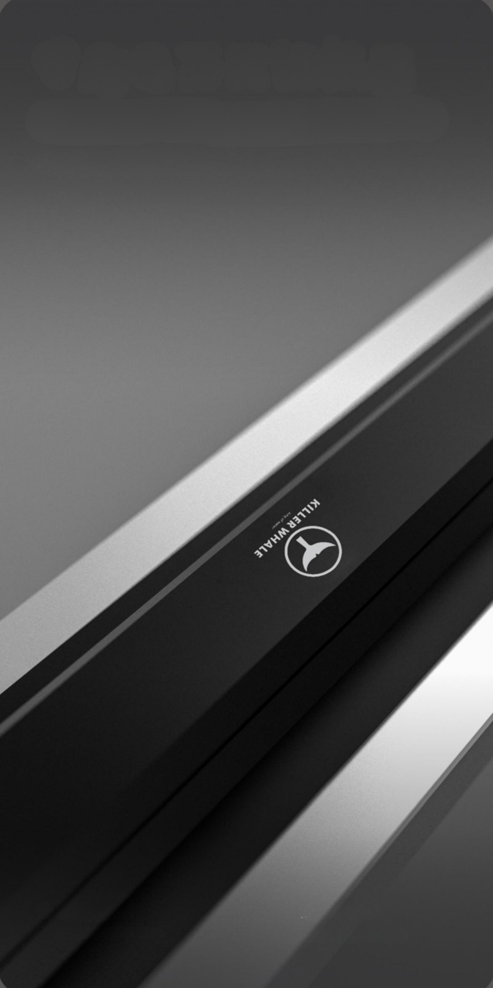 KILLER WHALE SKY LIGHT